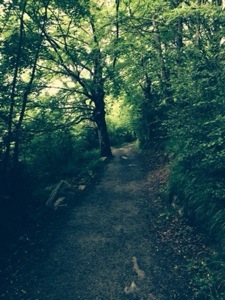 Tag 3: Durch Pamplona (31.05.14)
