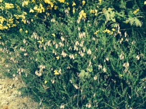 Foto_Tag11_2
