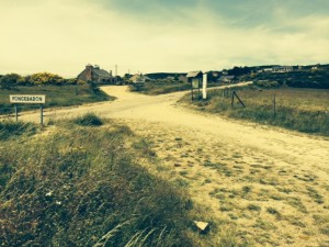 Tag22_1